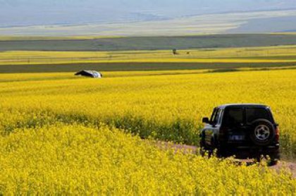 广州租车自驾游攻略有哪些？