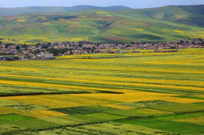 2016冬季广东租车自驾游好去处