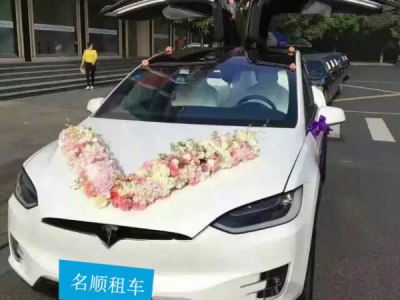 【花车】特斯拉Model X